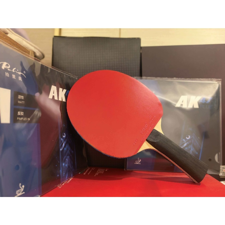 SANWEI T5000 Tischtennisschläg – Table Tennis Loki Bewertung und Preis
