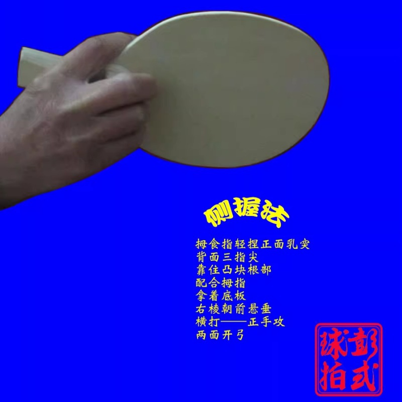Tischtennisschläger im chinesi – Table Tennis In Japanese Bewertung und Preis